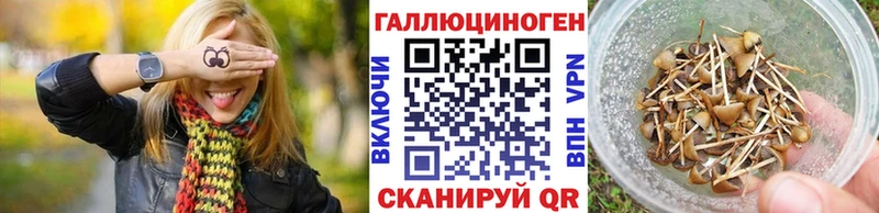 Псилоцибиновые грибы прущие грибы  Солигалич 